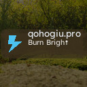 qohogiu.pro